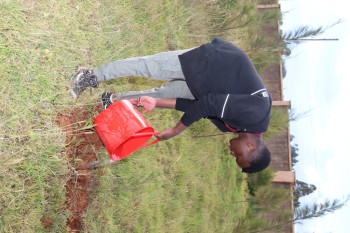 University of Eldore