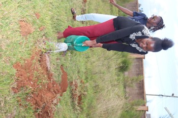 University of Eldore