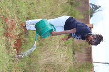 University of Eldore