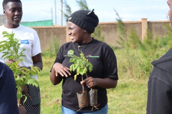 University of Eldore