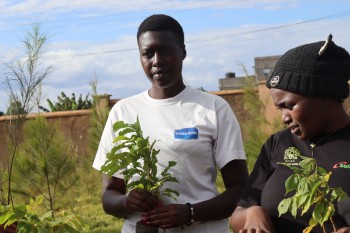 University of Eldore