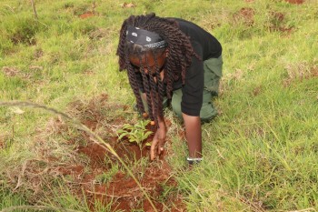 University of Eldore