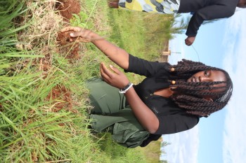 University of Eldore