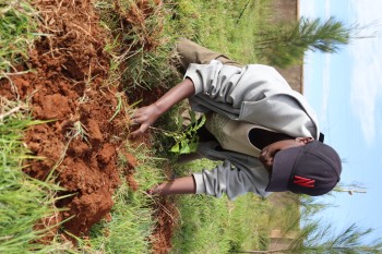 University of Eldore