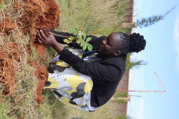 University of Eldore