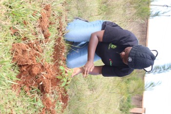 University of Eldore