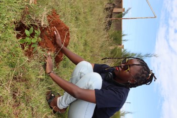 University of Eldore