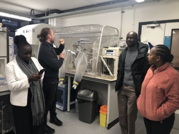 University of Eldore