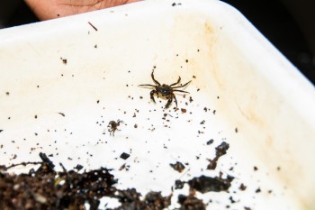 3D-Printed Microscop