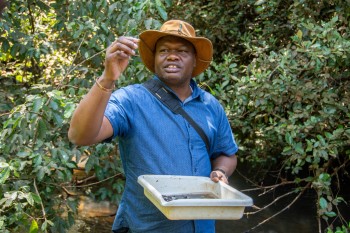 3D-Printed Microscop