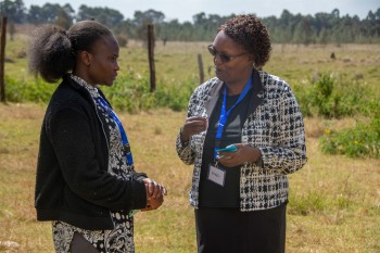 Transformative Pre-I