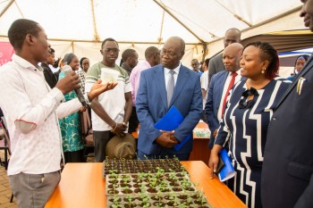 The 7th Annual Innov