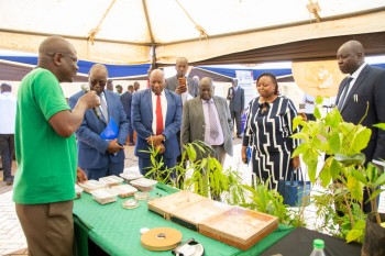 The 7th Annual Innov