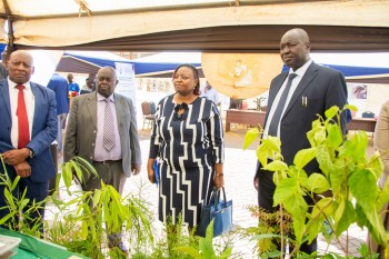 The 7th Annual Innov