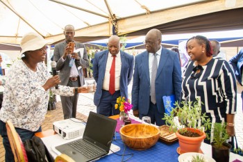 The 7th Annual Innov