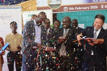 UoE & CAMCO Workplan