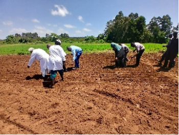 Enhancing Industry-A