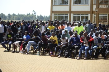 The First Year Stude