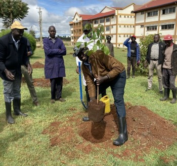 UoE join in the Nati