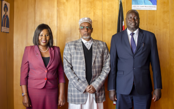 University of Eldore