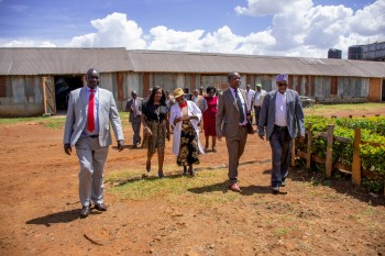 University Council M