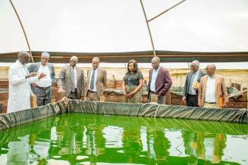 University Council M