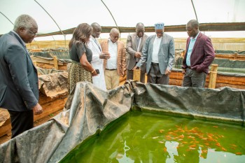 University Council M