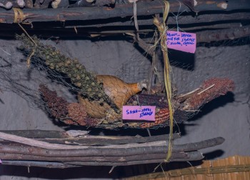 The North-Rift Herba