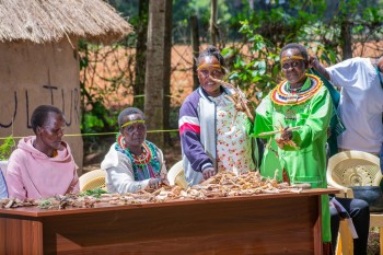 The North-Rift Herba