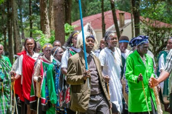 The North-Rift Herba