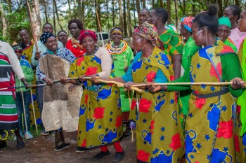 The North-Rift Herba