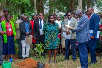 The North-Rift Herba