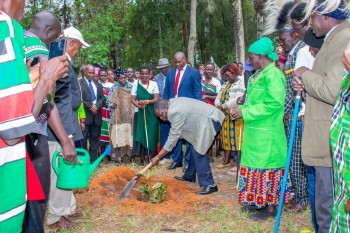 The North-Rift Herba