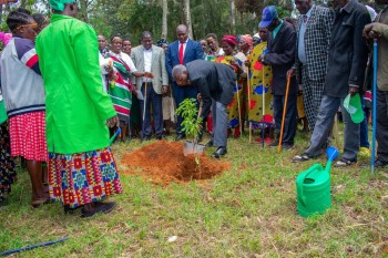 The North-Rift Herba