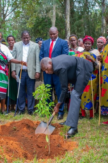 The North-Rift Herba