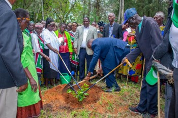 The North-Rift Herba