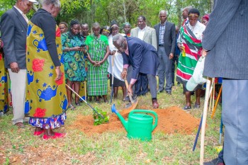 The North-Rift Herba