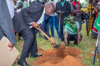 The North-Rift Herba