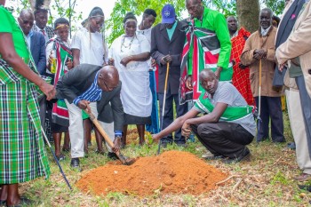 The North-Rift Herba