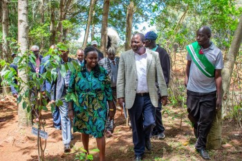 The North-Rift Herba