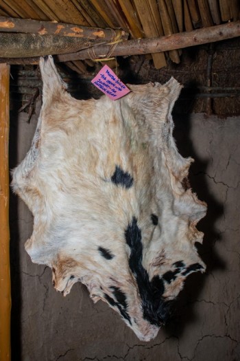 The North-Rift Herba