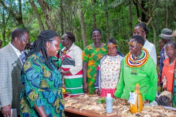 The North-Rift Herba