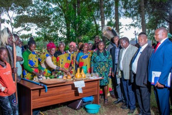 The North-Rift Herba