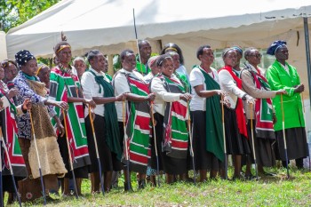 The North-Rift Herba