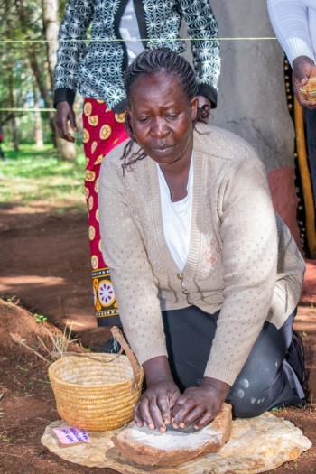 The North-Rift Herba