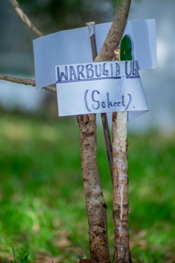 The North-Rift Herba