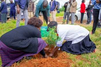 Elimu Tree Planting 