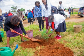 Elimu Tree Planting 