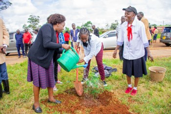 Elimu Tree Planting 