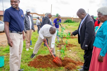 Elimu Tree Planting 